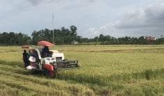 Cuộc sống hồi sinh trên vùng rốn lũ Hà Tĩnh