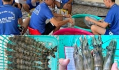 Bạc Liêu: Nam Phú Hưng thương hiệu từ chữ tín