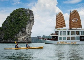 bovhttdl-6170dc70937f5