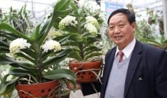 Đâu là giá trị thực của lan đột biến?