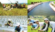 Thành ủy Hà Nội: Đẩy mạnh phát triển kinh tế nông thôn, nâng cao đời sống nông dân