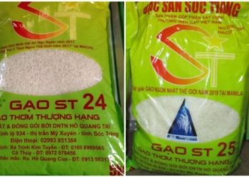 st2425-616f62f81eeca