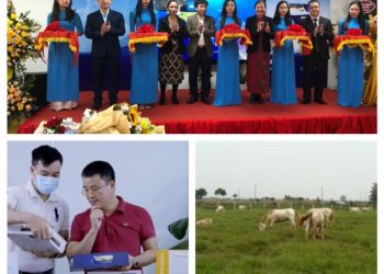 codypharma-618168f444670