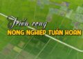 Ứng dụng nông nghiệp xanh, nông nghiệp tuần hoàn cho quá trình tái sử dụng nước thải chăn nuôi (P2)