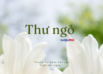 Thư ngỏ