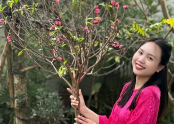 Quảng Trị ngày nay cùng ngắm nhìn những đổi thay qua nét Tết quê xưa và nay