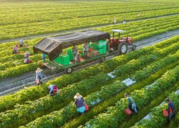 Ứng dụng nông nghiệp xanh, nông nghiệp tuần hoàn bài toán đơn giản nhưng lại khó cho doanh nghiệp