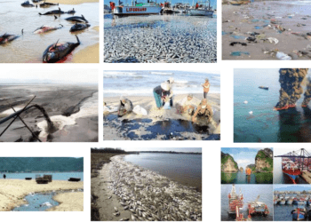 Rủi ro tài khóa tại Việt Nam và những yếu tố tác động