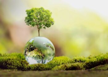 Xu hướng khởi nghiệp “xanh” và việc làm “xanh” của giới trẻ hiện nay trong nền kinh tế xã hội của thế kỷ 21