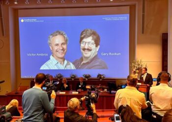 Nobel y học 2024 và cuộc cách mạng của MicroRNA