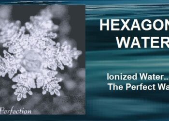 Nước nội bào: Chìa khóa duy trì tuổi thanh xuân và sức khỏe của con người