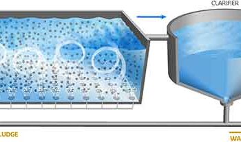 Đánh giá hiệu quả xử lý đồng thời chất hữu cơ và amoni trong nước thải bằng công nghệ màng vi sinh chuyển động (MBBR)