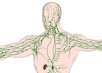 Giải pháp trị liệu bằng máy khí châm DR.T hỗ trợ cải thiện hệ bạch huyết