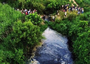 Cảnh báo nguy cơ ô nhiễm môi trường nước, khí từ những bất cập trong đánh giá tác động môi trường các trang trại nuôi heo.