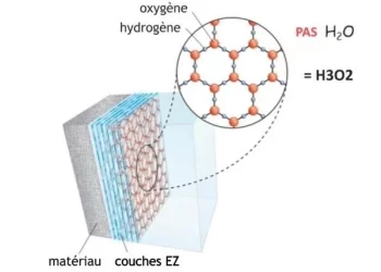 Kết hợp Thymomodulin và Beta-Glucans hòa tan trong nước NeroH (Cấu trúc lục giác, ORP=300MV) hỗ trợ điều trị ung thư