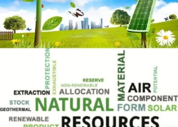 Quản trị vốn tài nguyên