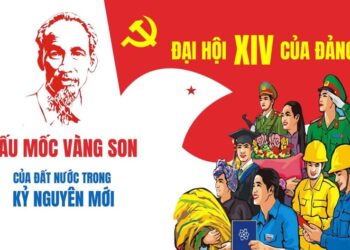 Mùa Xuân của những cánh sao vàng