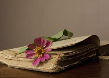 Những vần thơ đi qua đêm trắng