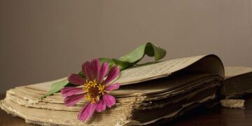 Những vần thơ đi qua đêm trắng