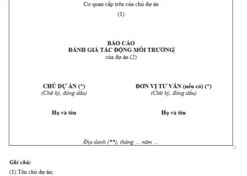 Từ “báo cáo mẫu” đến “hồ sơ ra quyết định” trong báo cáo ĐTM ở Việt Nam